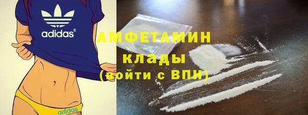 стафф Алексин