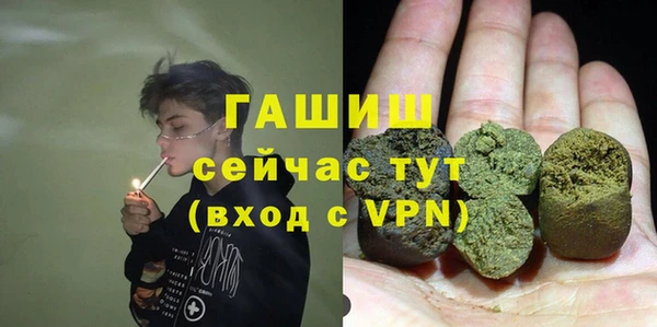 шишки Алзамай