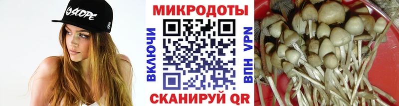 Псилоцибиновые грибы Psilocybine cubensis  кракен tor  Южно-Сахалинск 